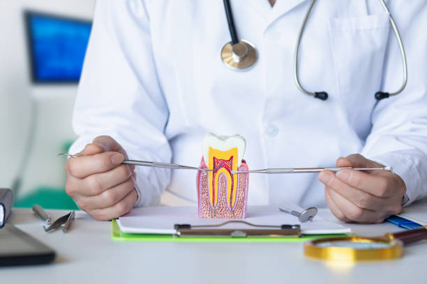 Professional Emergency Dental Service in MA